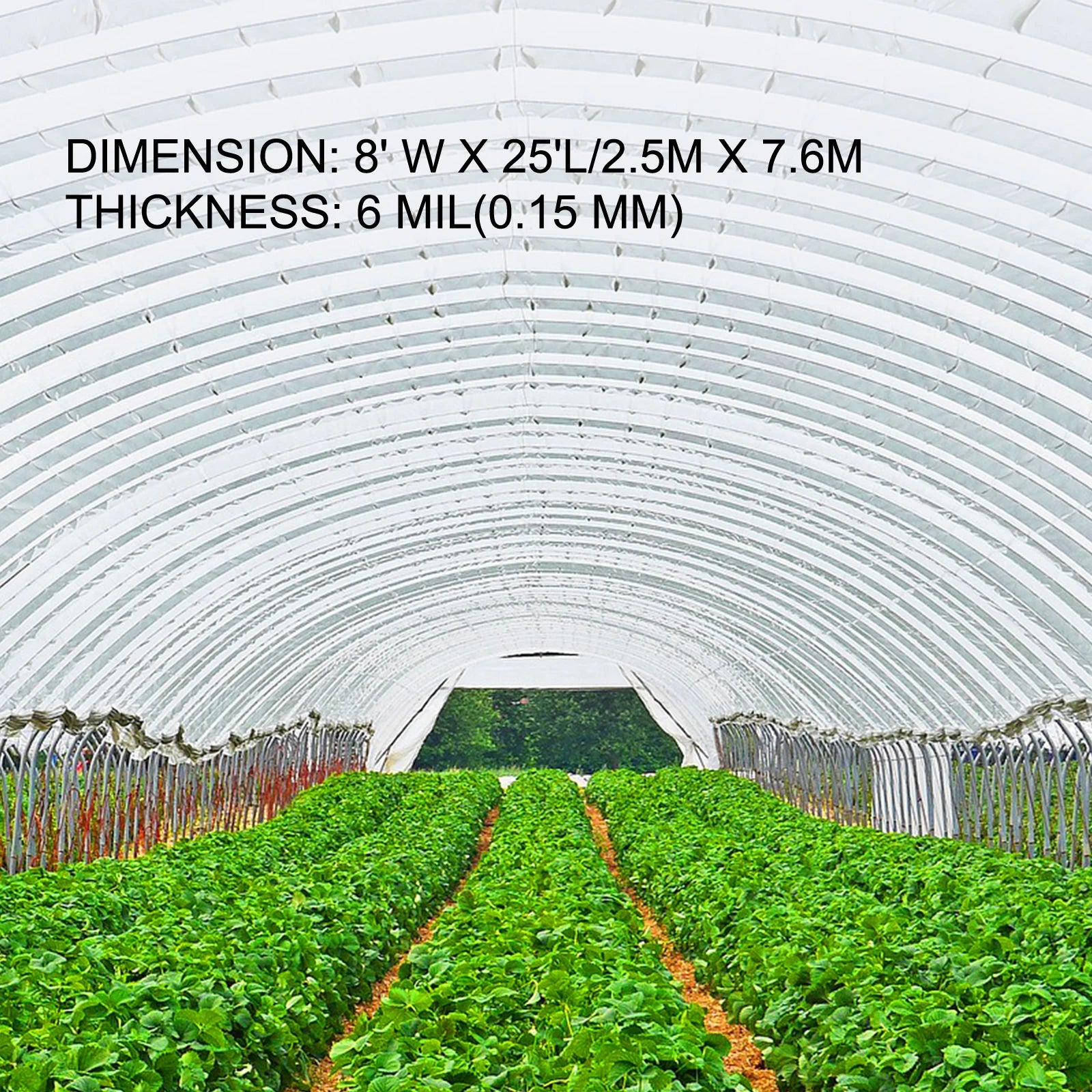 VEVOR Greenhouse Cover 6 Mil Clear Plastic Greenhouse Film UV Resistant Polyethylene Covering Garden Plants Flowers Agriculture