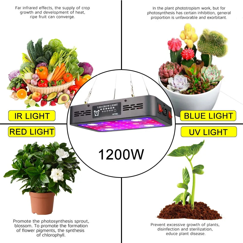 3600W COB LED Grow Light plantas phytolamp For Greenhouse Hydroponics Grow Lamp Indoor Plant Flower Seeding