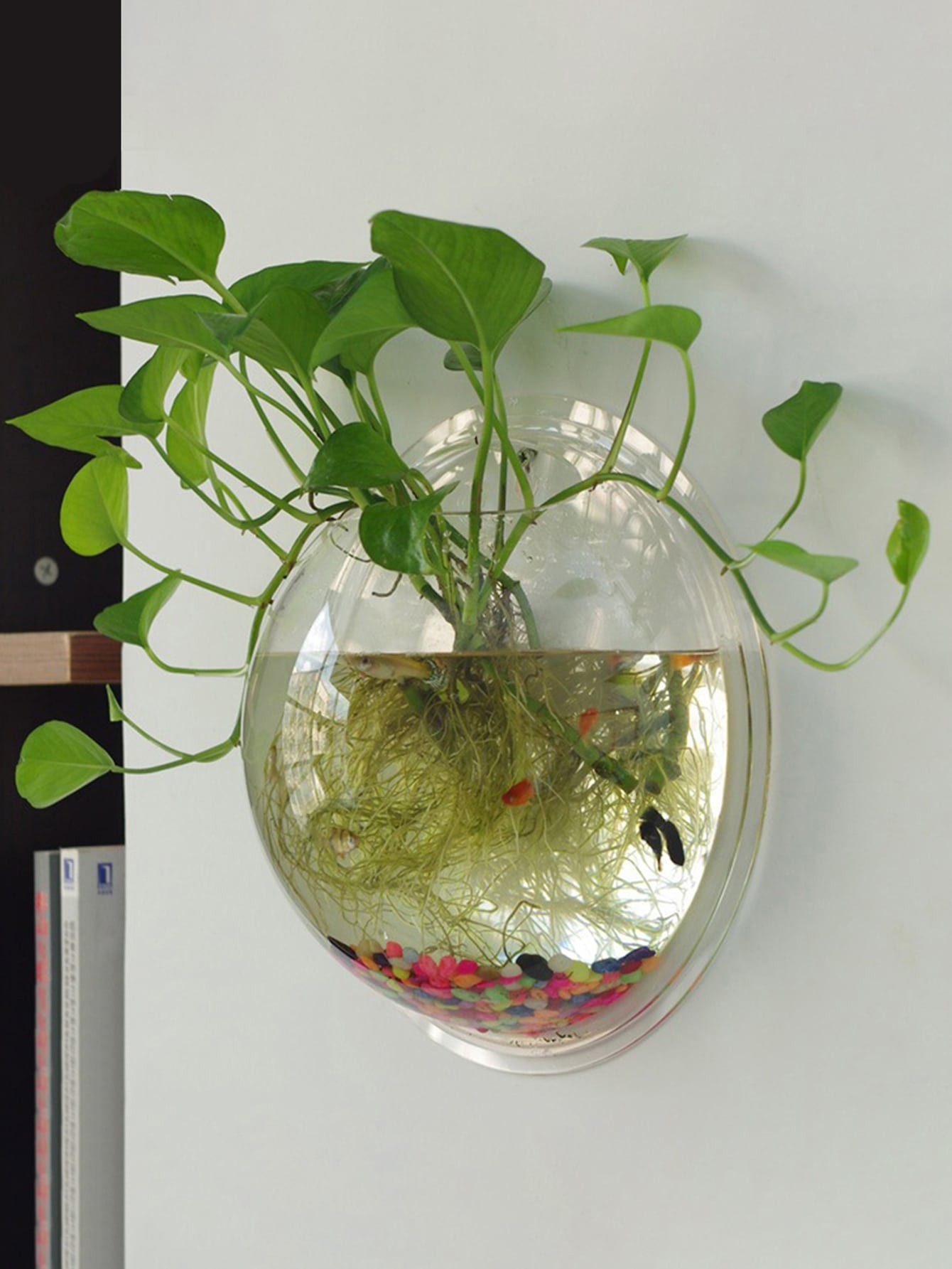 1pc Clear Wall Mounted Plant Pot