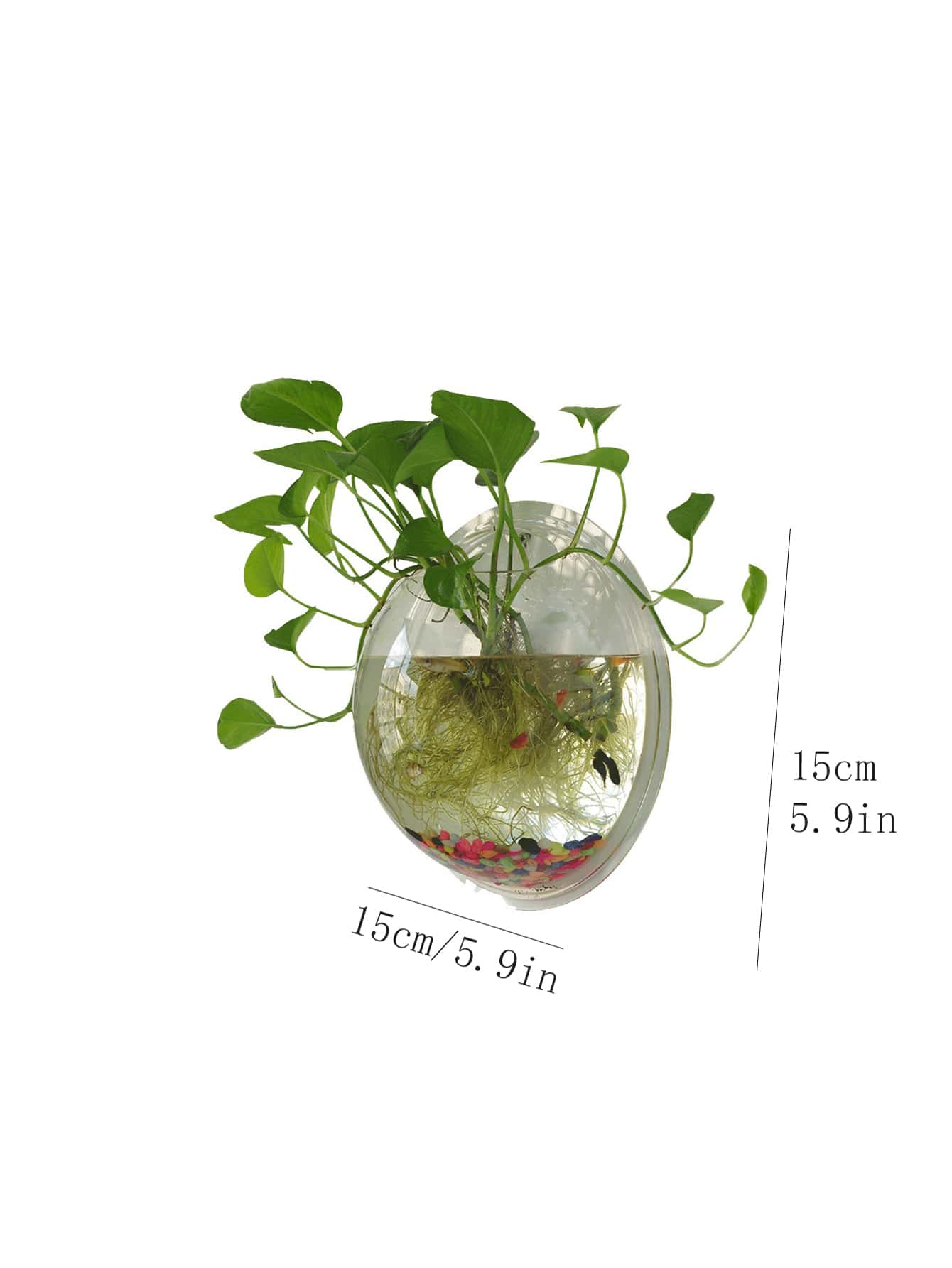 1pc Clear Wall Mounted Plant Pot