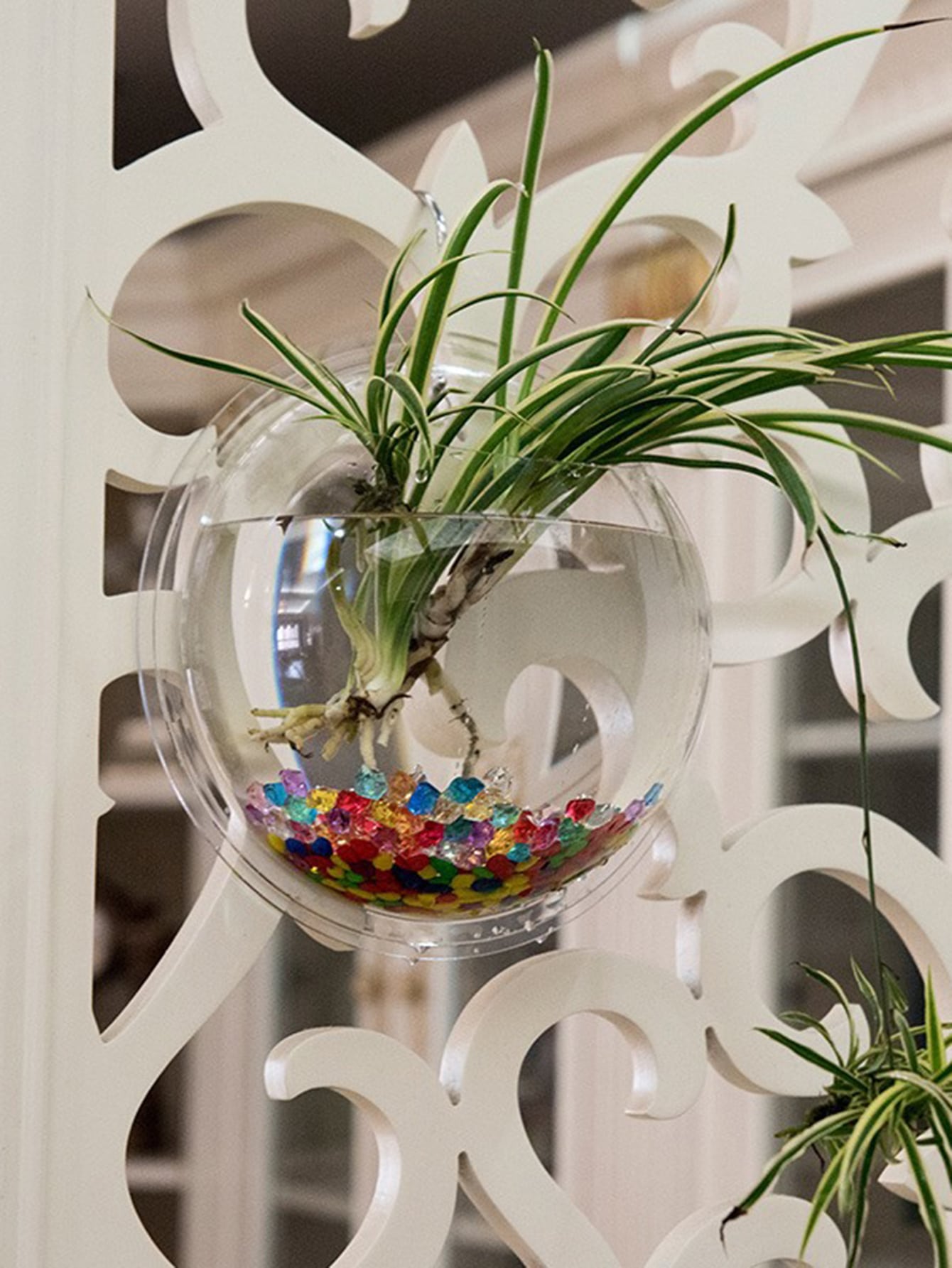 1pc Clear Wall Mounted Plant Pot