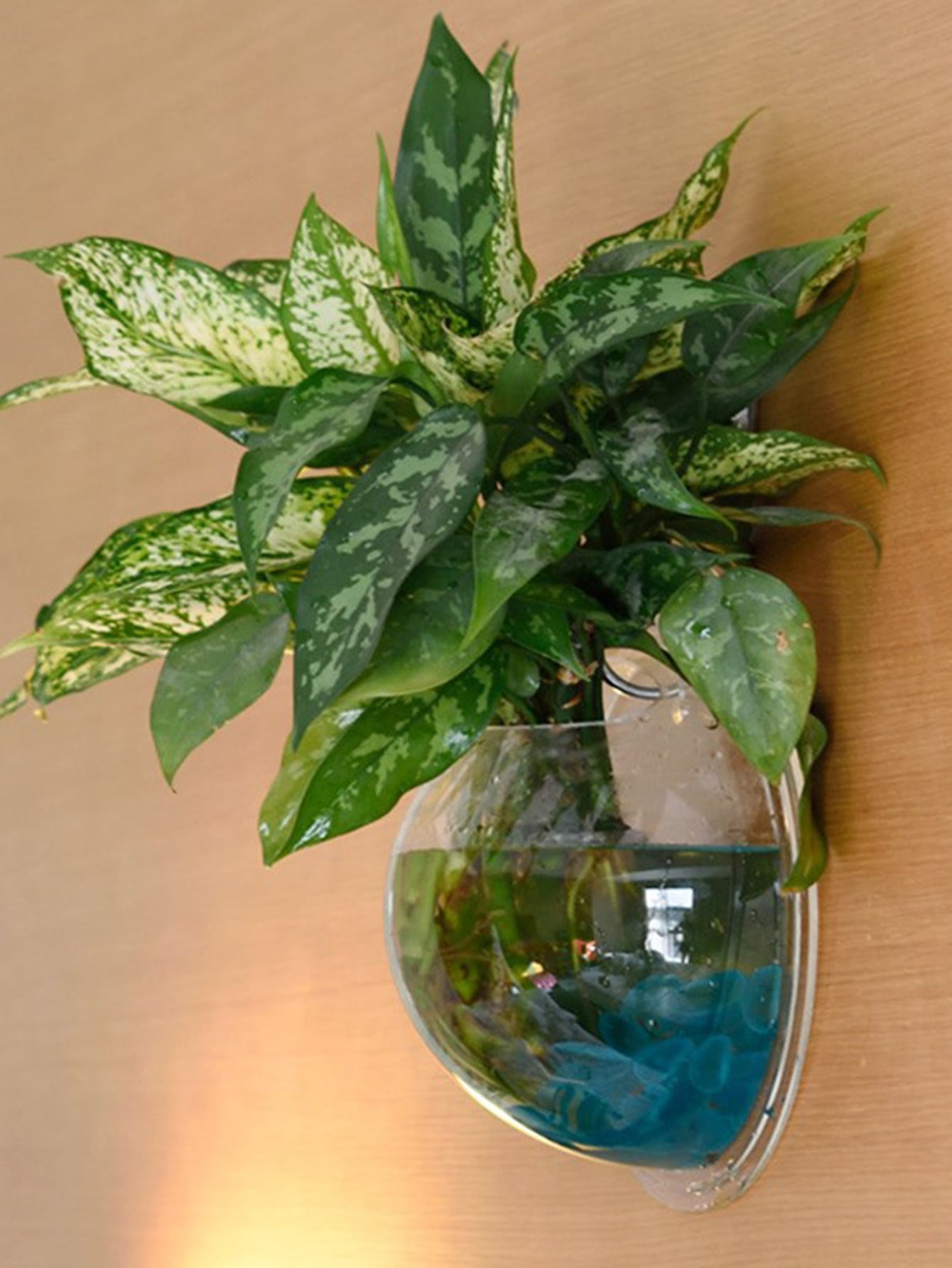 1pc Clear Wall Mounted Plant Pot